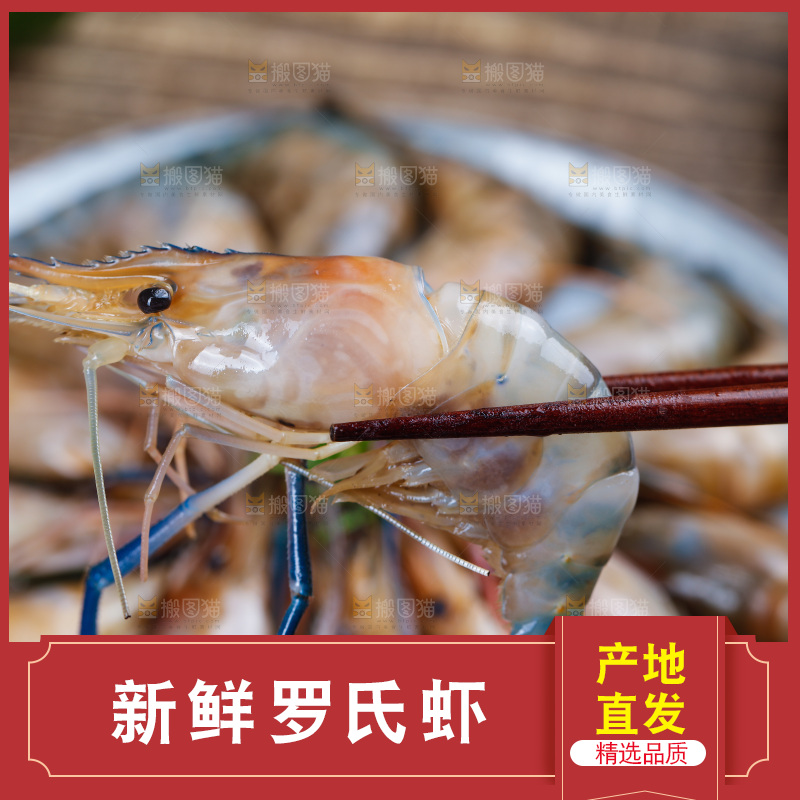 筷子上夹着罗氏虾