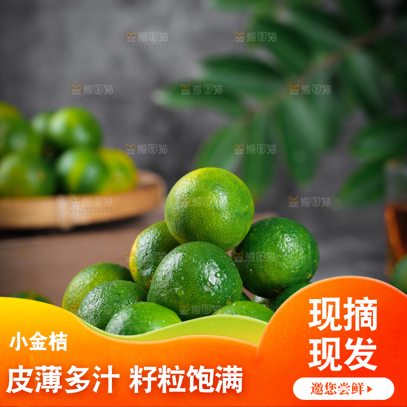 黑底上放着小金桔