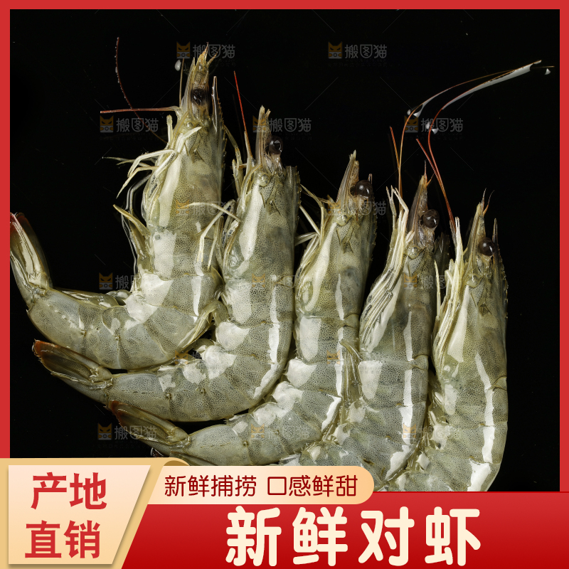 黑底上放着南美虾