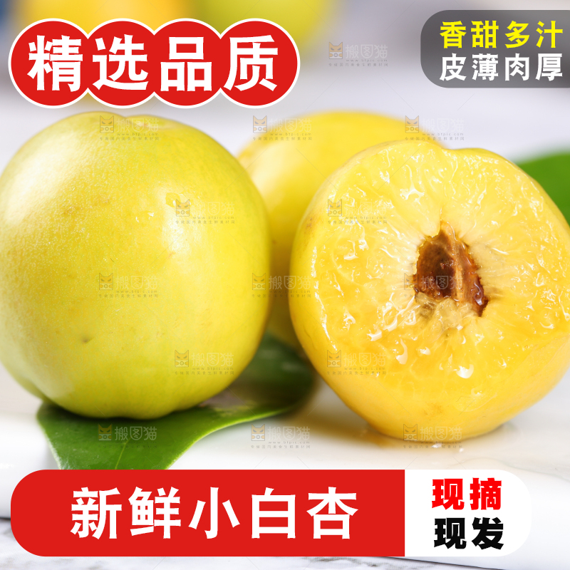 白底上放着小白杏