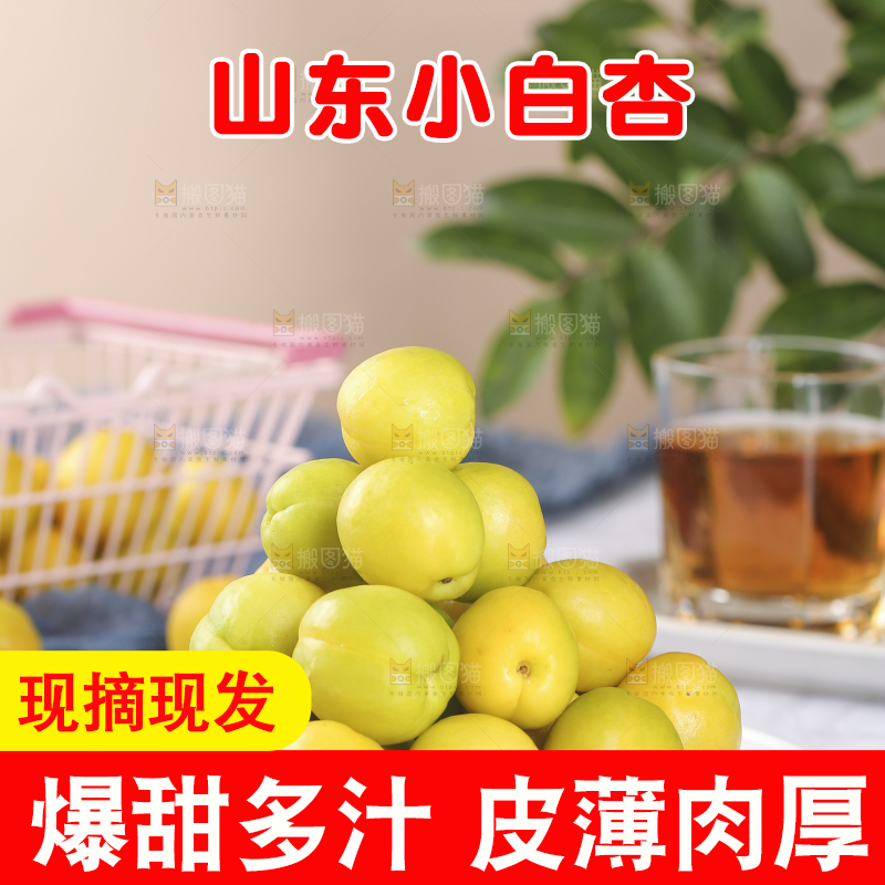 白底上放着一盘小白杏