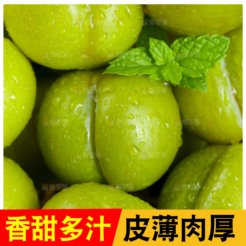 新鲜的蜂糖李