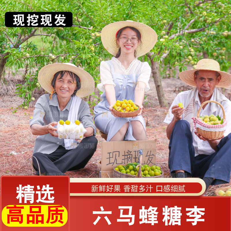 农民手上拿着新鲜冰糖李
