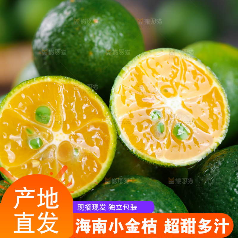 新鲜的小金桔