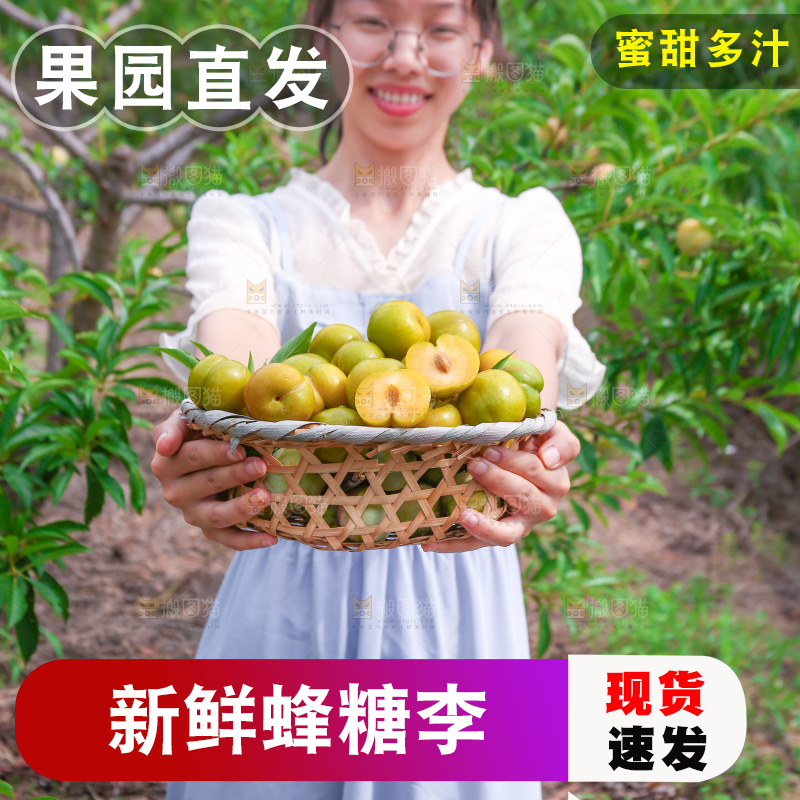 女孩手上拿着一筐冰糖李