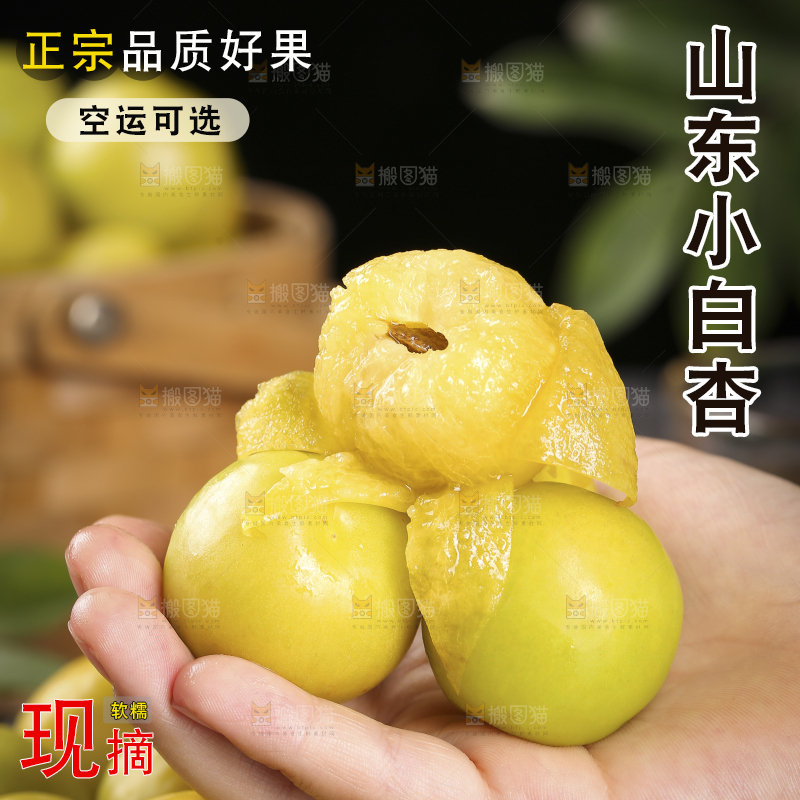 手上拿着的小白杏