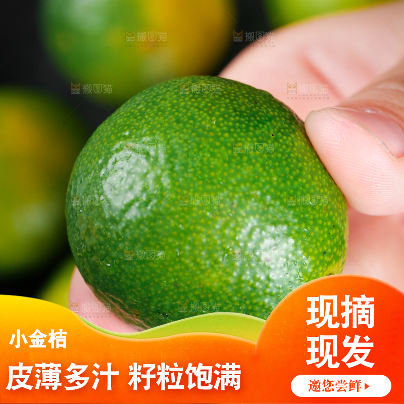 手上拿着小金桔