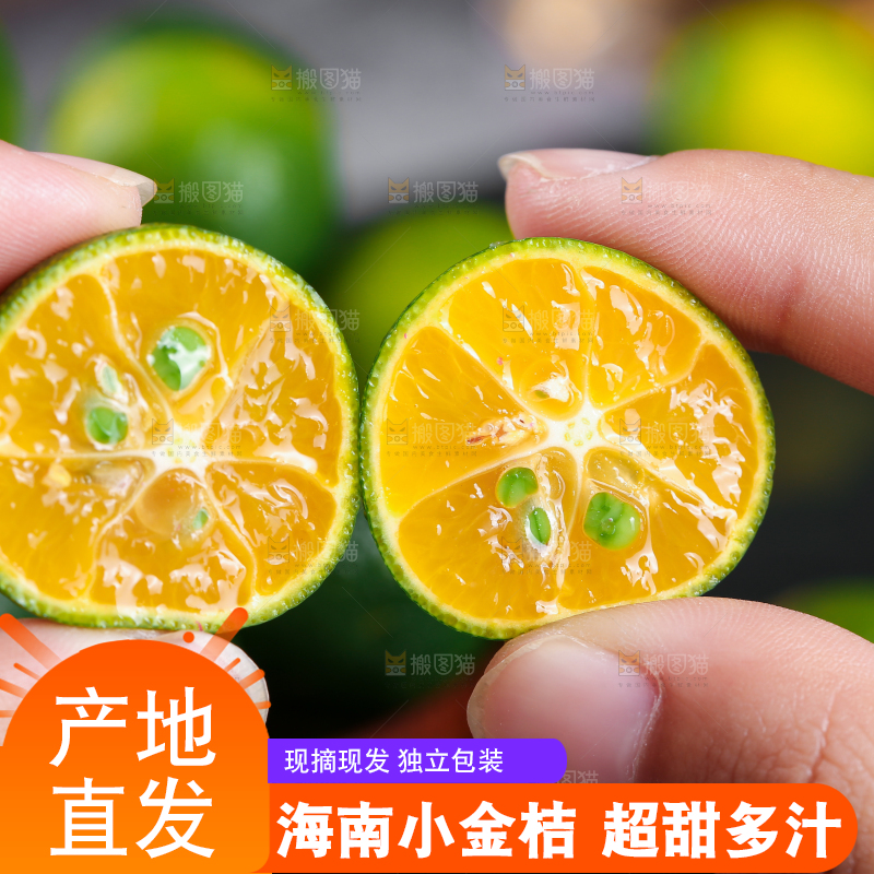 手上拿着的小金桔