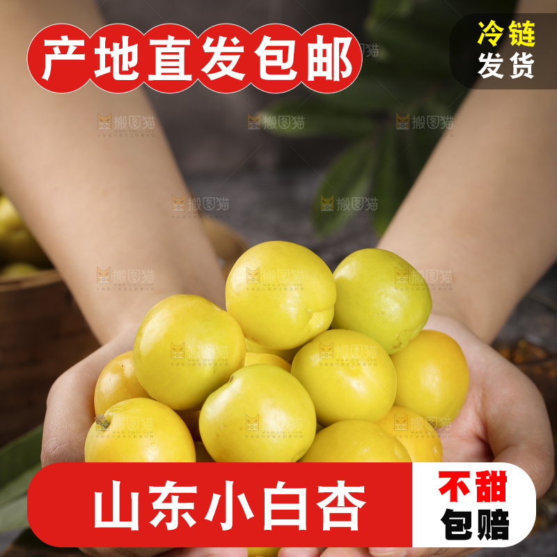 手上捧着新疆小白杏