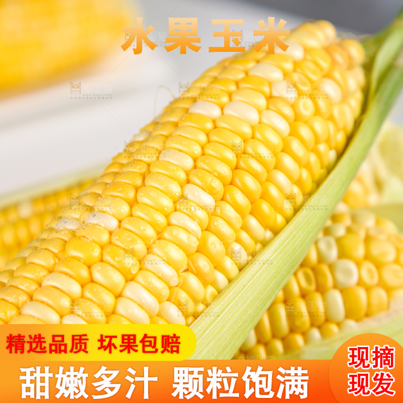 新鲜的水果玉米