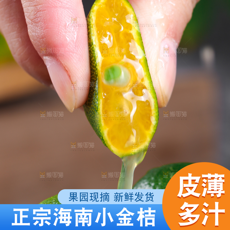 手上拿着小金桔