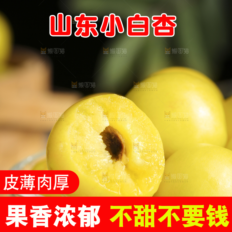 杯子里装着新疆小白杏