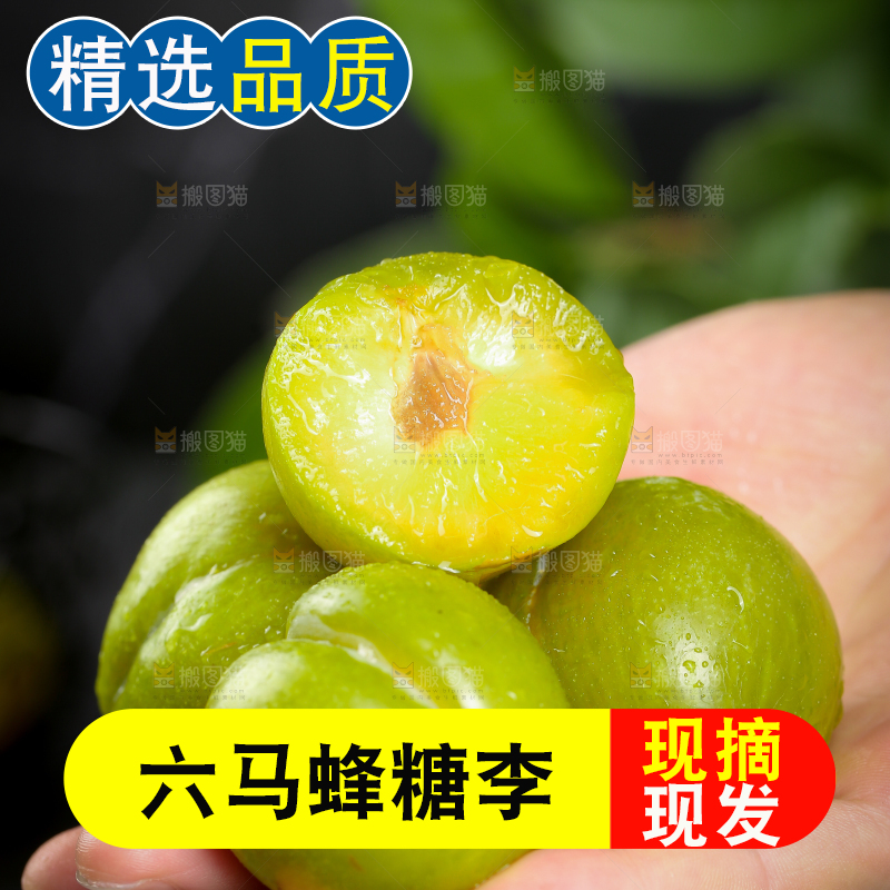手上捧着蜂糖李
