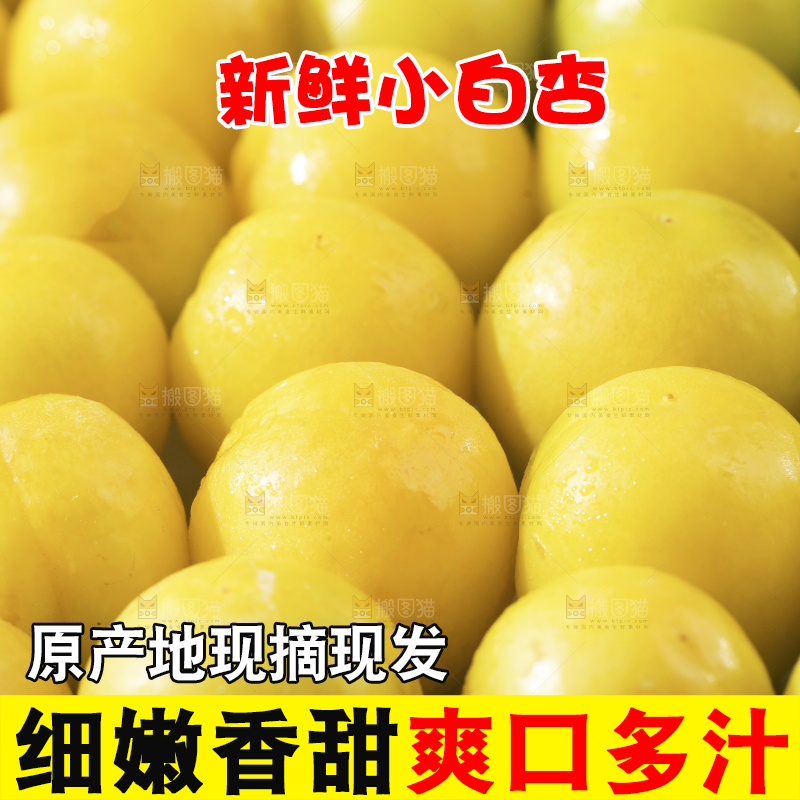 一堆新疆小白杏