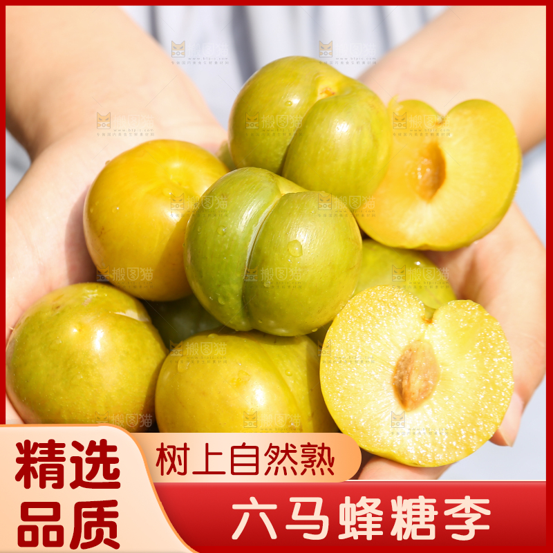 手上捧着新鲜蜂糖李