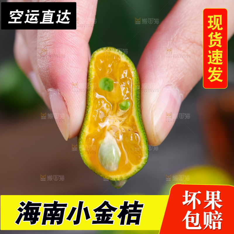 手上拿着小金桔