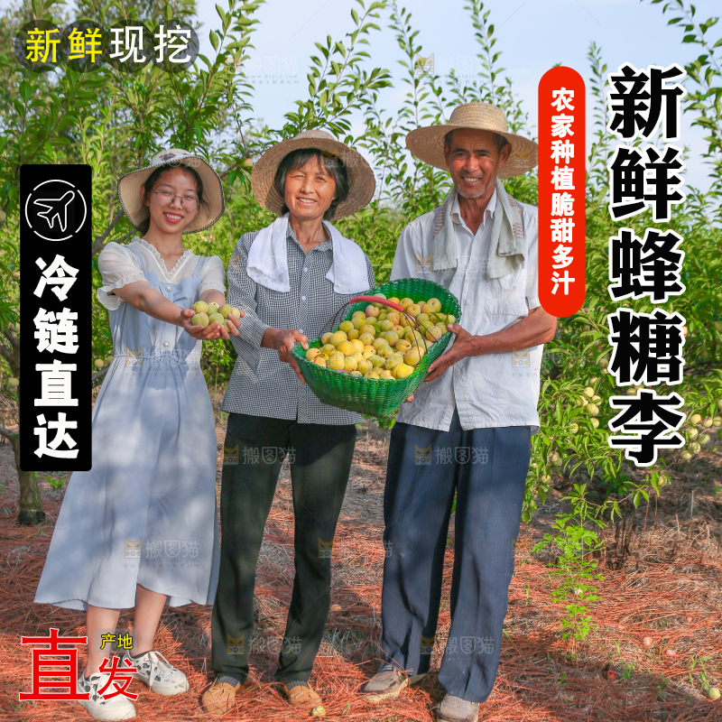 农民手上抱着一篮蜂糖李