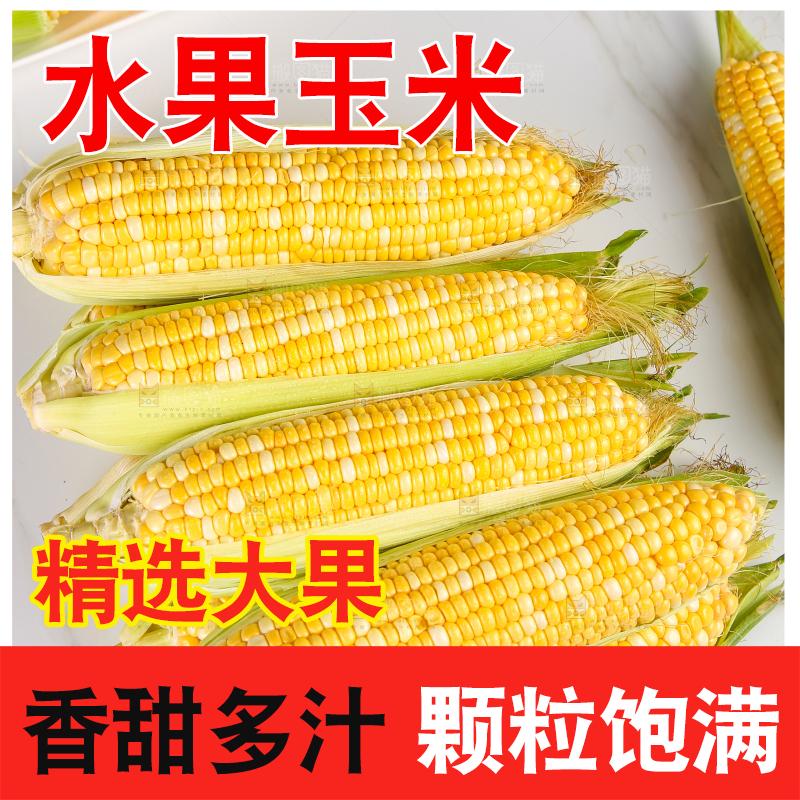 白底上放着一堆水果玉米