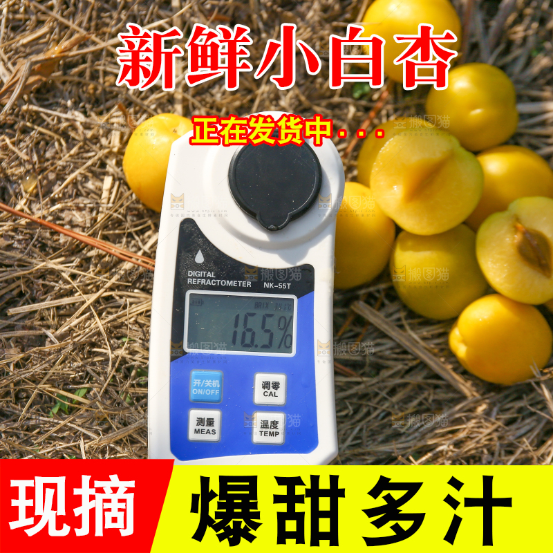 草地上放着新鲜小白杏
