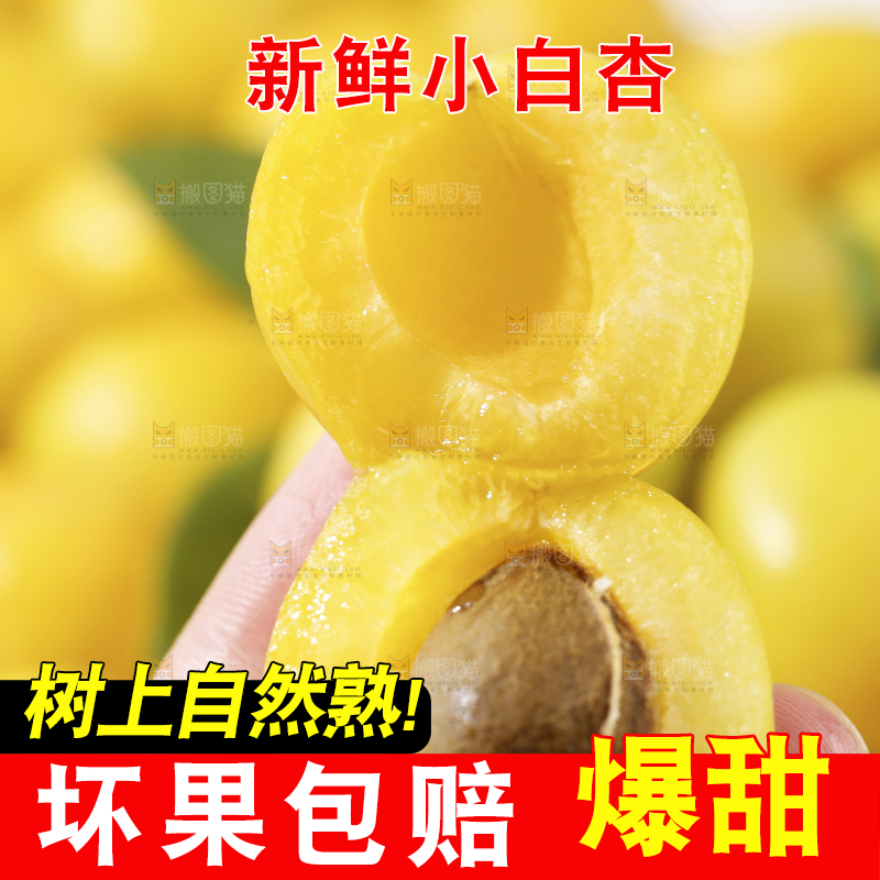 手上拿着的小白杏