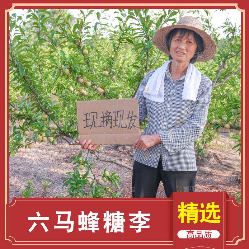 蜂糖李果园