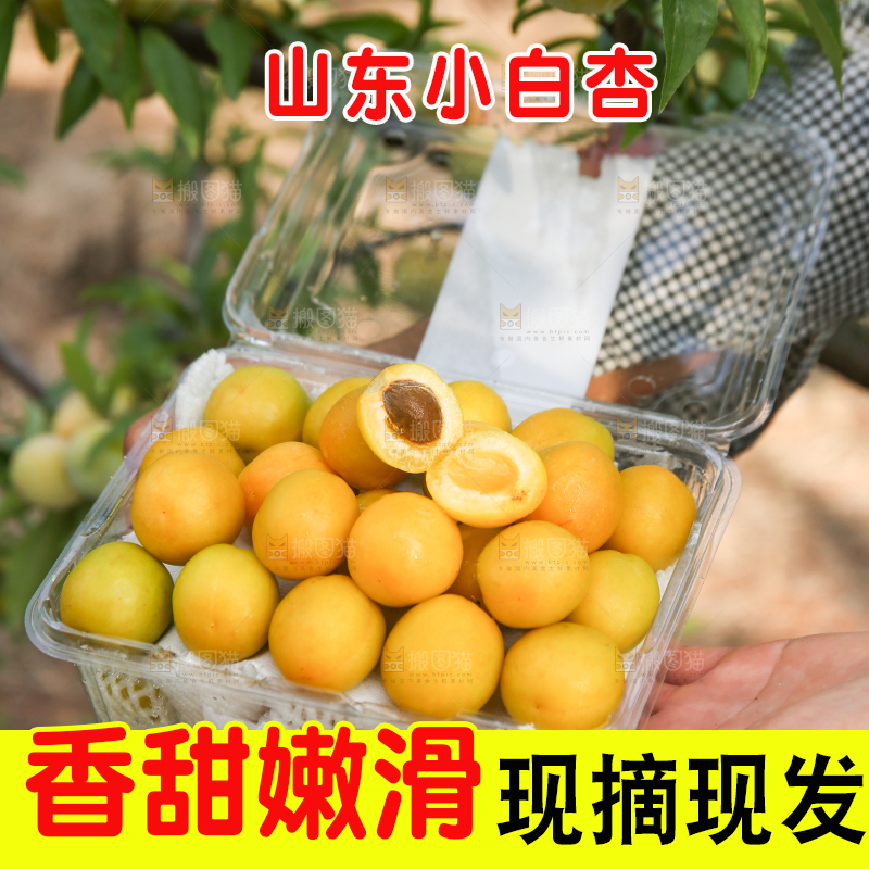 盒子里装着小白杏