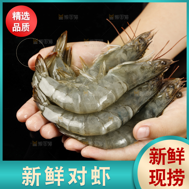 手上捧着新鲜对虾