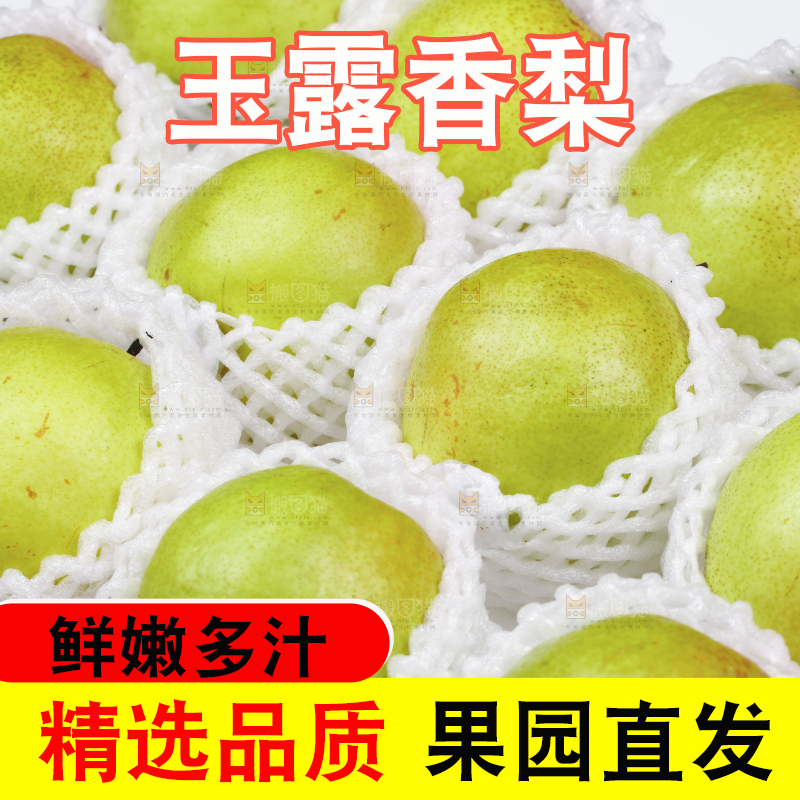 箱子里放着玉露香梨