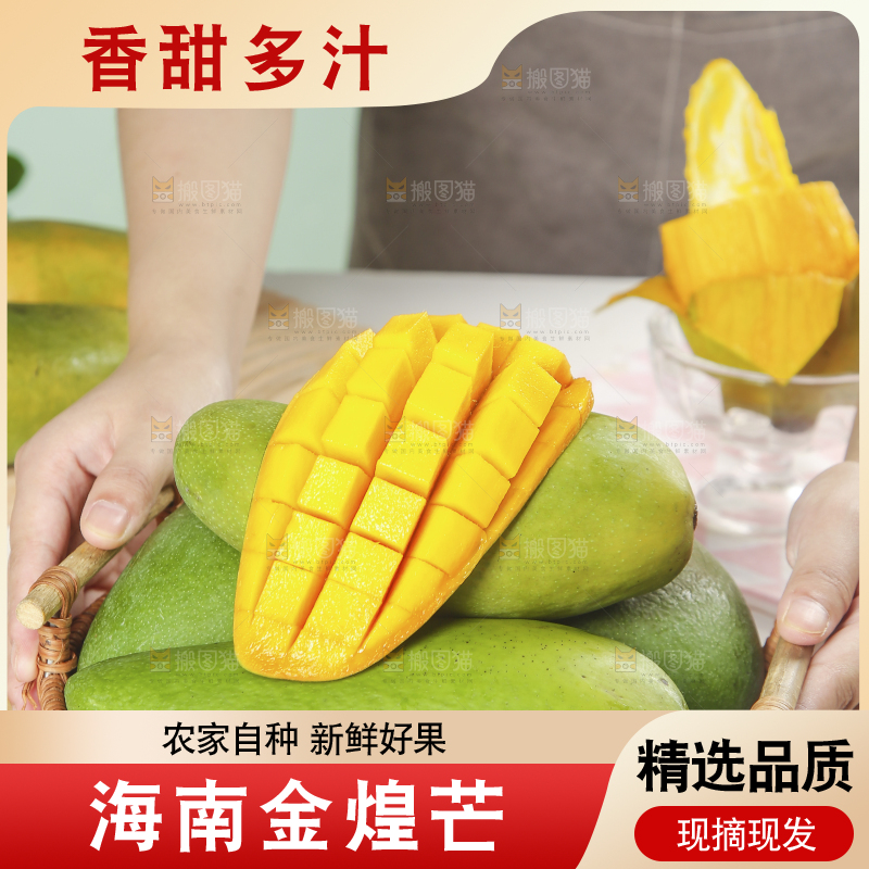 手上端着一篮金煌芒