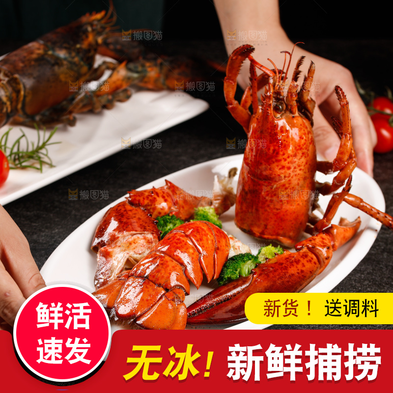 手端着一盘澳洲龙虾