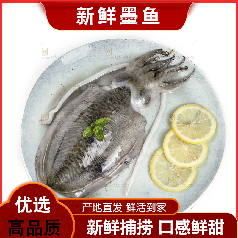 白底上放着一盘墨鱼