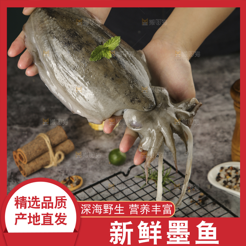 手上拿着墨鱼