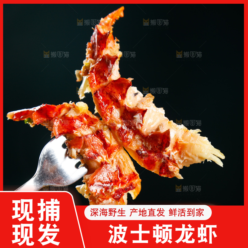 叉子上叉着波士顿龙虾肉