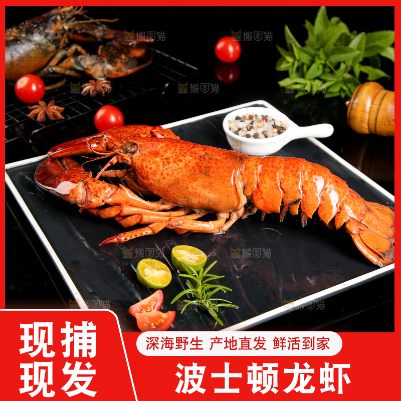 黑底上放着波士顿大龙虾