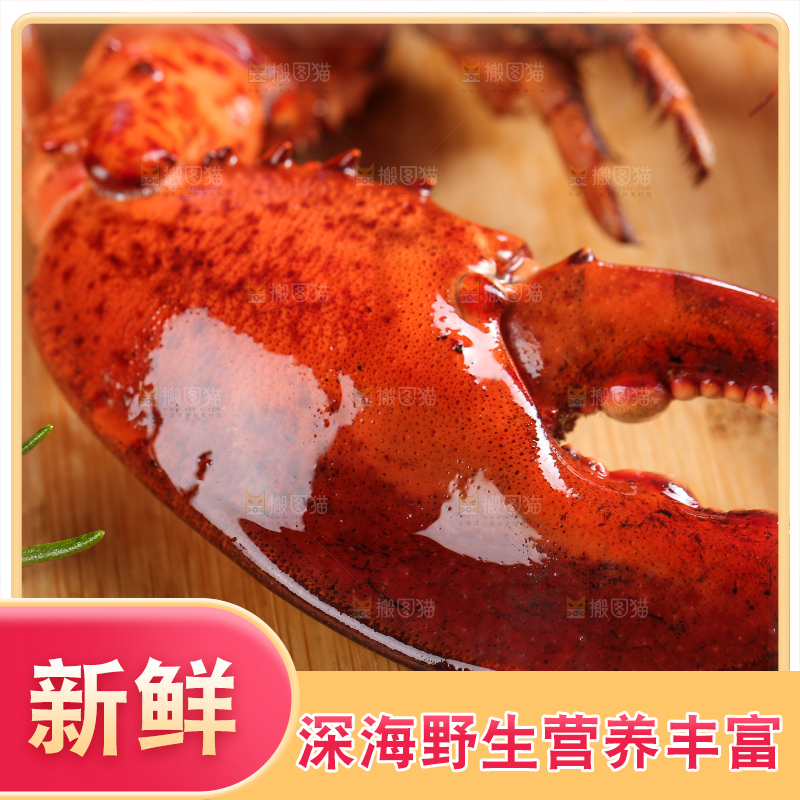 木板上放着波士顿龙虾