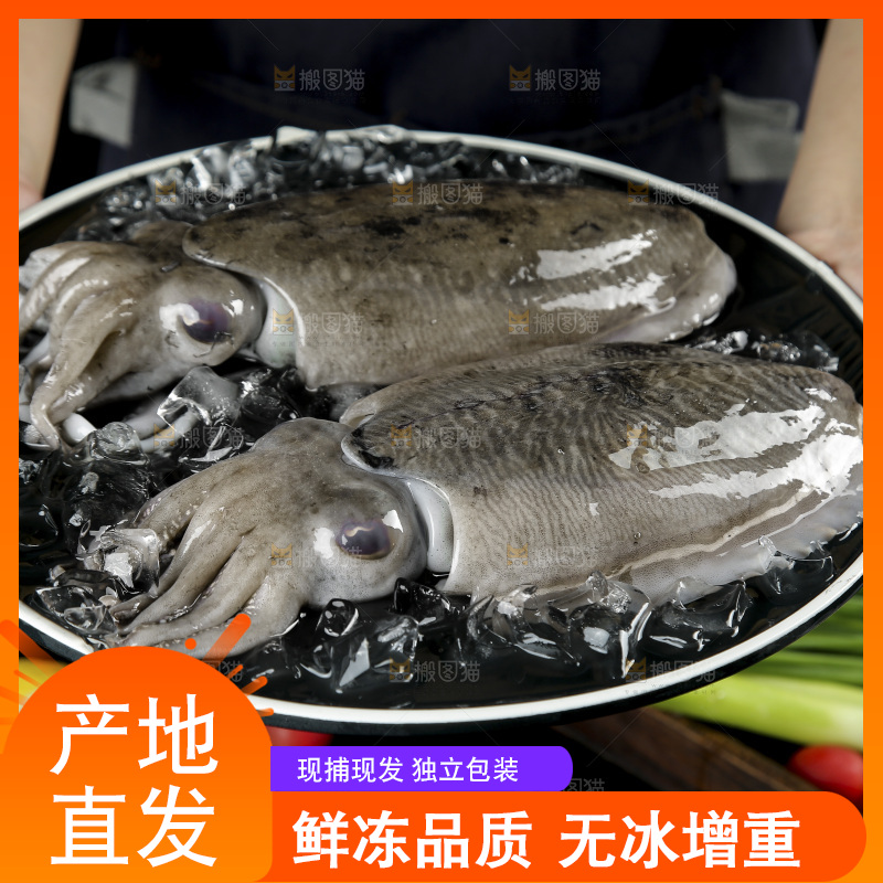 手上端着一盘北海墨鱼