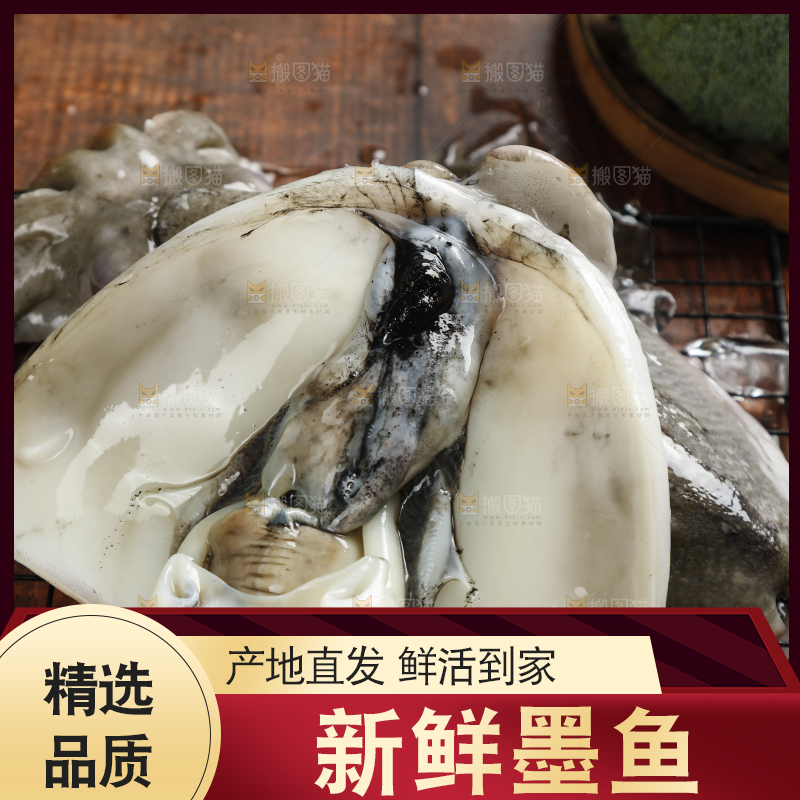 深底上放着北海墨鱼
