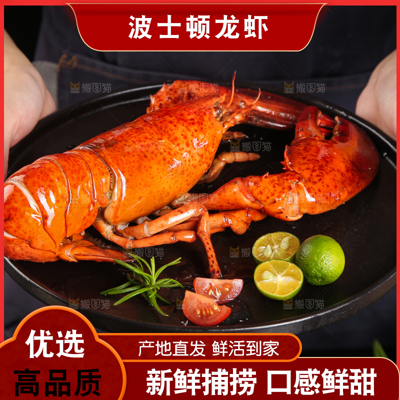 手上端着一盘波士顿龙虾