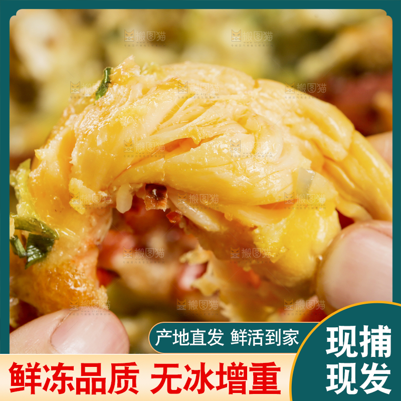 手上拿着龙虾肉