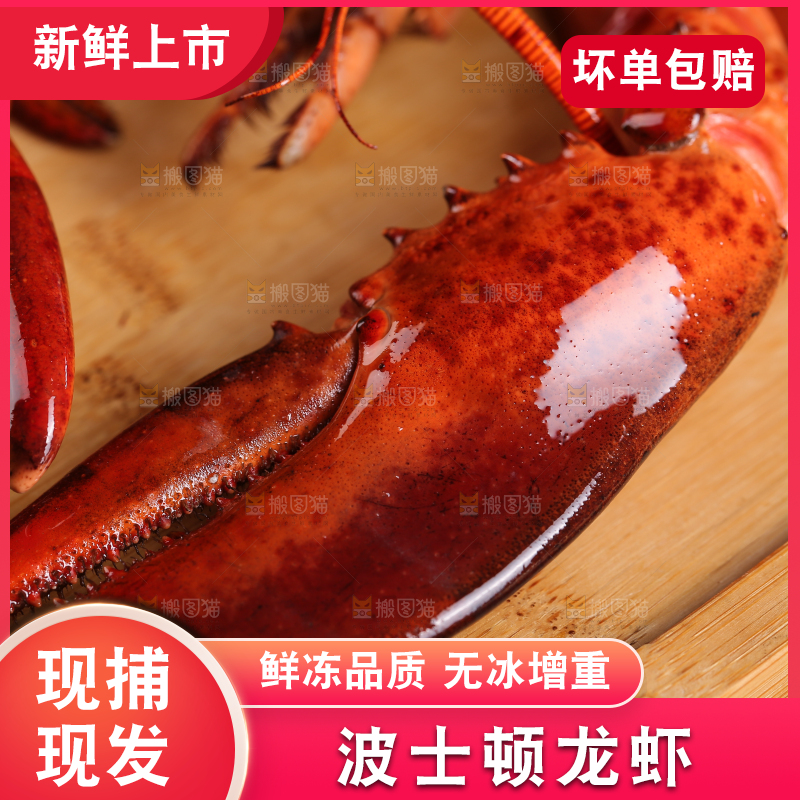木板上放着波士顿龙虾
