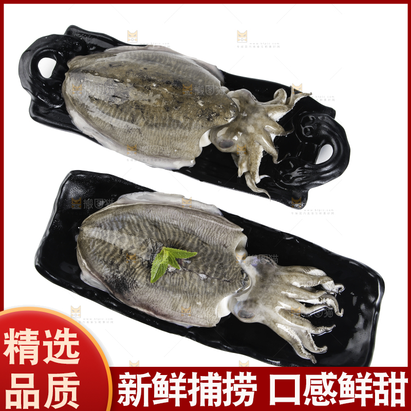 黑板上放着北海墨鱼