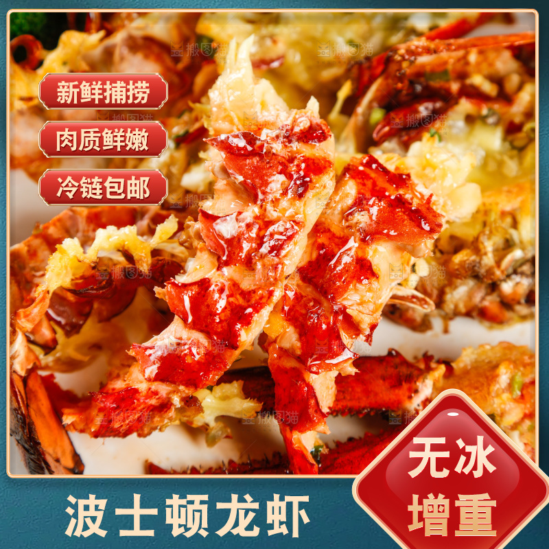 叉子上叉着波士顿龙虾肉