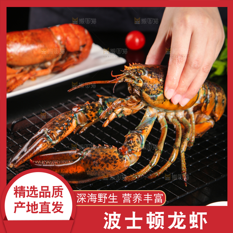 手上拿着波士顿大龙虾
