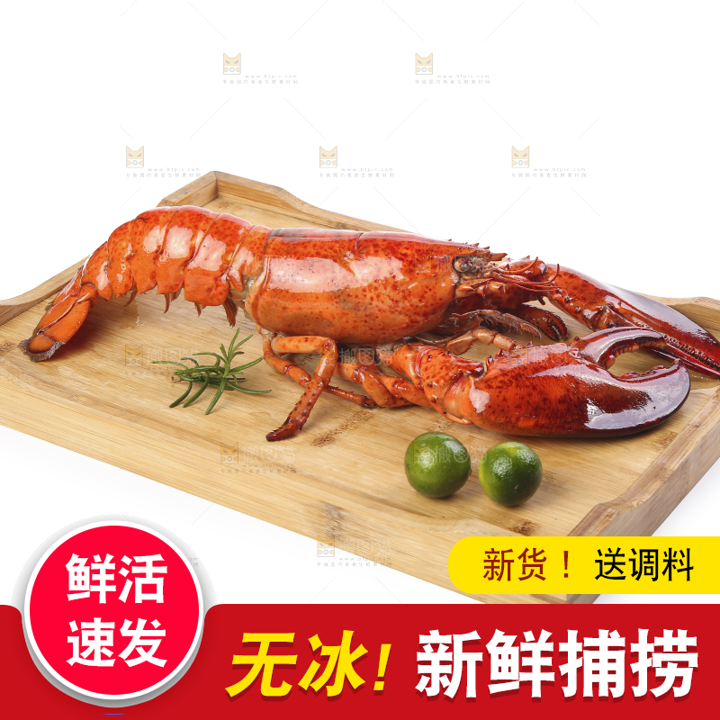 木板上放着澳洲大龙虾