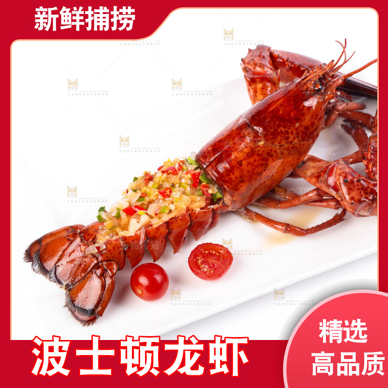 白底上放着波士顿大龙虾