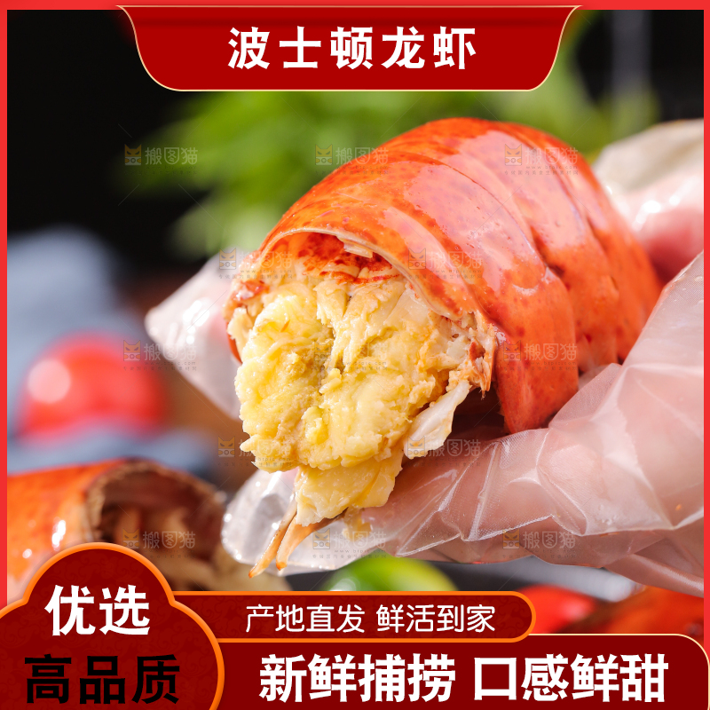 手上拿着澳洲龙虾