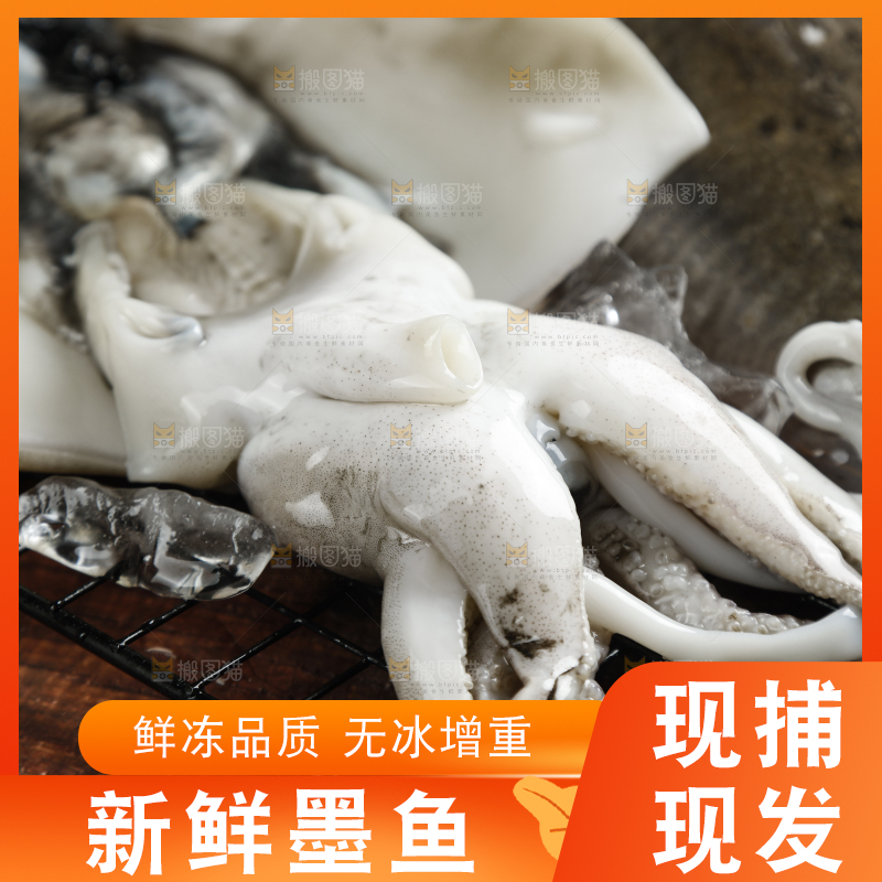 深底上放着北海墨鱼