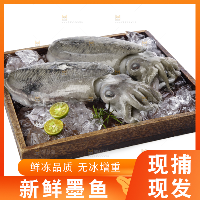 木板上放着墨鱼