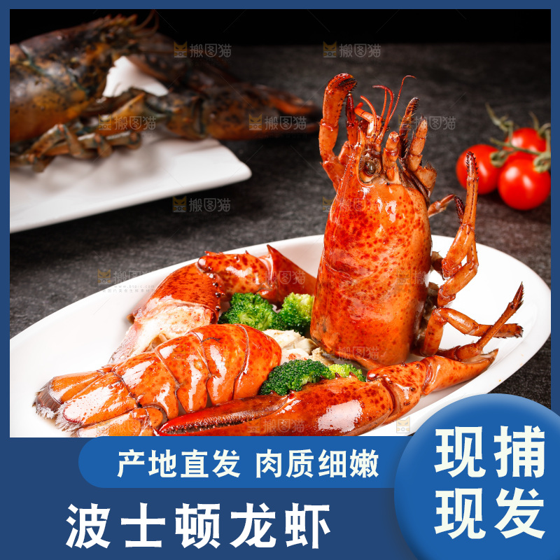 黑底上放着一盘波士顿龙虾