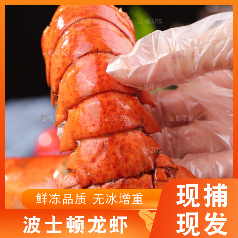 手上拿着澳洲龙虾